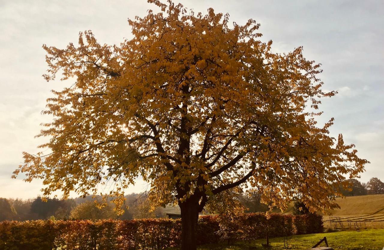 Grange Enchantee Profondeville Buitenkant foto